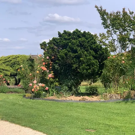 بيت للعطل House Of The Hollyhocks Mérignac